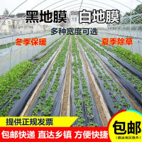 地膜农用花生西瓜专用防草除草膜黑白相间银黑种植白地膜黑地膜厚