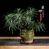 创意花盆托盘 紫砂托盘接水盘垫盘底托陶瓷底盘垫 移动托盘