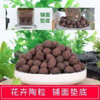 陶粒花用养花绿植多肉土陶粒花盆栽垫底铺面水培回填卫生间陶土粒