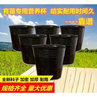 营养钵育苗盆一次性花盆塑料种植穴盘营养杯育苗袋装土育苗杯