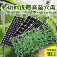 塑料育苗盘西红柿番茄西瓜育苗盒穴盘菜苗盘芽菜盘托盘培育盘育苗箱育苗盆