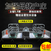 猪产床单双体分娩床母猪定位栏限位栏仔猪保育床养猪设备