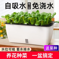 种菜神器花盆栽蔬菜种植箱家庭阳台塑料长条自吸水懒人长方形大