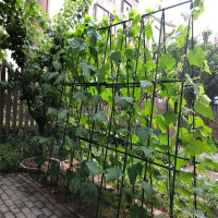 园艺支架植物包塑料管瓜番茄爬藤支撑杆包塑支柱支撑植物生长用