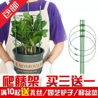 爬藤架子花支架月季花架植物盆室内花卉支撑杆园艺铁线莲攀爬