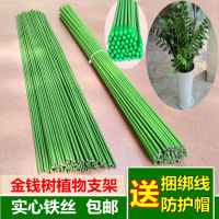 园艺铁丝线金钱树绿萝兰花植物固定支架瓜果爬藤架花卉支柱支撑杆