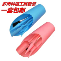 多肉工具组合套餐园艺工具铲子气吹浇水壶镊子锹耙移苗器筒铲