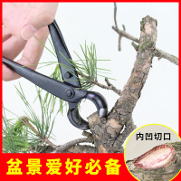 盆景球节剪球钳盆栽树瘤树节修剪钳专业园艺花艺制作造型养护工具