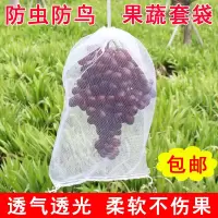 套葡萄水果套枇杷防虫防鸟白色纱网套袋透气透光防果蝇套树苗防虫