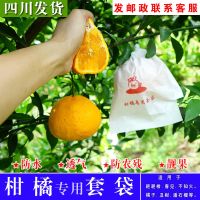 柑橘专用套袋丑柑春见耙耙柑不知火橘子脐橙红美人爱媛果纸袋