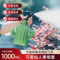 仙人掌喷壶浇花喷壶家用喷壶喷雾器喷水壶喷雾水壶园艺洒水壶