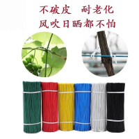 葡萄扎丝 园艺绑扎丝绑铁丝包塑铁丝扎线火龙果扎丝猕猴桃扎丝