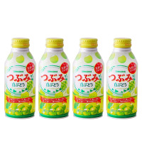 Y.三佳利白葡萄味果汁500ml