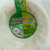 8寸一次性纸盘1*10