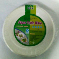 500一次性纸碗1*10