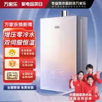 万家乐 燃气热水器JSQ30-16RG3 天然气下置风机16升零冷水密闭稳燃舱全景玻璃屏[彩虹系列]