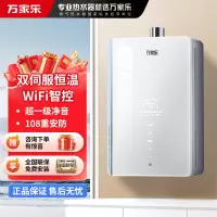 万家乐 16升燃气热水器J6H1 双芯伺服恒温 UV杀菌净水 一级净音下置风机密闭稳燃玻璃面板