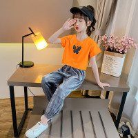 乌鹿女童套装夏装儿童T恤防蚊裤两件套中大童新款小女孩衣服3-13岁夏季薄款衣服学生套裙夏天童装女两件套