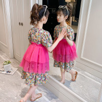 乌鹿女童洋气夏装套装裙2021新款韩版儿童装夏季中大童网纱裙子两件套
