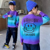 乌鹿儿童装男童毛衣秋冬款2021年新款中大童男孩加绒加厚水貂绒潮