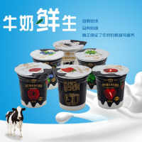 乍甸 益生菌酸奶玫瑰150g*6