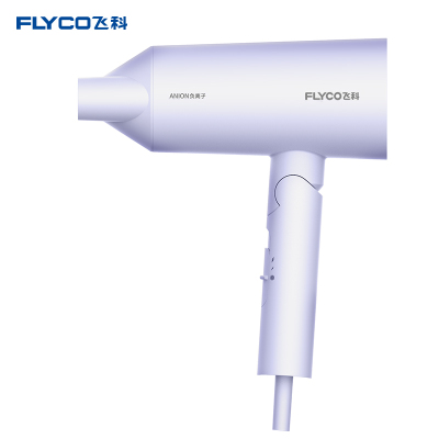 飞科 FLYCO 电吹风FH6277