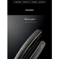 凯迪仕(Kaadas)智能锁K30-F星空灰全自动推拉式指纹锁家用防盗门锁磁卡锁电子锁密码锁防猫眼锁