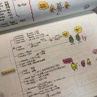 新概念语法笔记手写板飞跃串讲加深巩固小学初中英语语法通用