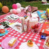 野餐郊游露营一次性桌布时尚台布塑料印花加厚户外烧烤防水 1.8米X1.8米 果红格(一片装)