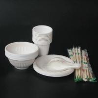 一次性餐具碗杯勺碟组合餐具散装玉米淀粉餐具环保饭店餐具送筷子 碗勺20份散装送筷子