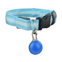 宠物用品狗狗发光项圈猫咪颈圈泰迪金毛哈士奇大中小型犬夜光项圈 蓝色 电池款项圈+吊坠 M-中型-23-28斤