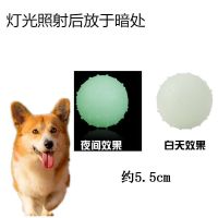 狗狗玩具橡胶球弹力浮水夜光球耐咬互动自嗨法斗泰迪宠物玩具磨牙 小号*6cm 单个装
