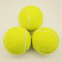 3只装狗玩具网球泰迪弹力球耐咬磨牙宠物幼犬拉布拉多小狗训练球 柔软型网球3只装