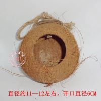 牡丹虎皮珍珠文鸟窝椰子壳窝鹦鹉窝保暖椰壳鸟窝鹦鹉窝大小创意 小号未打磨吊绳款