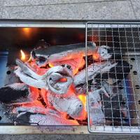 [木炭批发烧烤木炭家用木炭苹果木炭高温烧制无烟木炭烧烤炉木炭 2斤果木炭(试用装) 一个引燃块