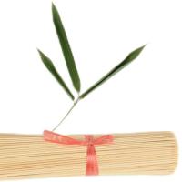 烧烤签子批发一次性15cm烤肠热狗酱香饼钵仔糕鸡排关东煮小吃竹签 长20厘米*2毫米/10支