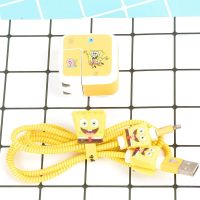 新款ipad air 4 2 3数据线保护套2019 mini 4 5平板充电器缠绕绳 ipad2020/Air4(20