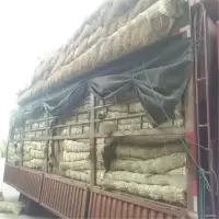 厂家直销-绑螃蟹草绳安全马莲草扎粽子香草绳子 香草绑蟹草