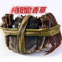 -绑螃蟹草绳安全马莲草扎粽子香草绳子 天然香草绑大闸蟹草咸水草