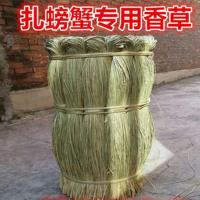 子香草绳子 绑螃蟹草绳安全马莲草扎粽天然香草绑大闸蟹草咸水草 1斤