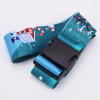 CTZD出差旅行防爆防盗海关密码锁锁行李箱绑带海关锁密码扣行李带 经典插扣款式 蓝色圣诞节