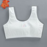 女童文胸发育期打底内衣吊带网纱13透气夹棉14抹胸小学生胸罩12岁 白色(1件装) 均码(体重55斤-99斤内)