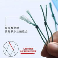 渔网网片加粗渔网鱼网抬网拉网养殖网养鸡网果园防鸟天网抗老化网 6股3厘米边长 1米宽10米长