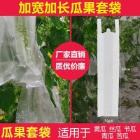 防水塑料袋套袋水果专用套袋保护防水防虫套袋丝瓜黄瓜苦瓜果套袋 80个一包