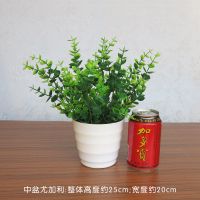 仿真植物小盆栽景室内家居客厅装饰假绿植塑料假花茶几小摆件花草 小尤加利+中盆