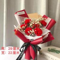 母亲节康乃馨花束送妈妈送长辈生日礼物教师节花束送老师香皂花 红康乃馨+满天星+梯形袋+灯串
