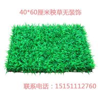 清雅加密仿真草坪块状装饰品植物墙背景墙人工假草坪阳台墙面绿化 秧草40*60无装饰