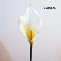 高品质仿真大号白色黄色PU马蹄莲假花塑料花居家婚庆装饰摆放花艺 马蹄莲白色5支