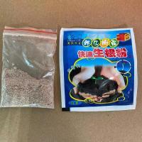 四季开花米兰花盆栽苗绿植四季常青芳香浓郁植物室内阳台驱蚊植物 生根粉+肥料各2包