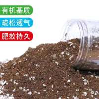 大颗蟹爪兰花苗盆栽客厅绿植苗带花苞花卉可嫁接室内开花多色 蟹爪兰专用土1000g 育苗盆(原土原盆栽好)